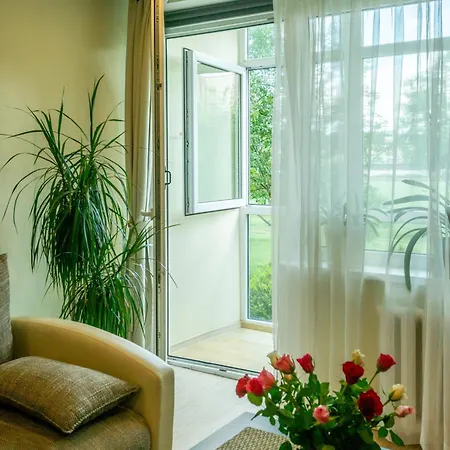 Du Draugai 1 Друскининкай