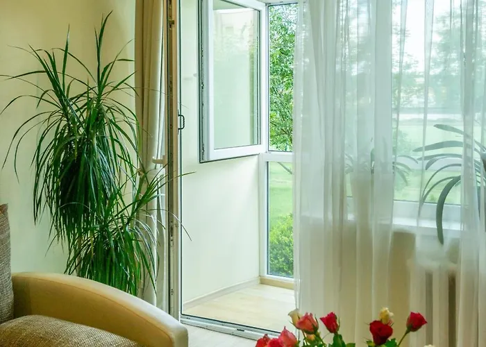 Du Draugai 1 Druskininkai